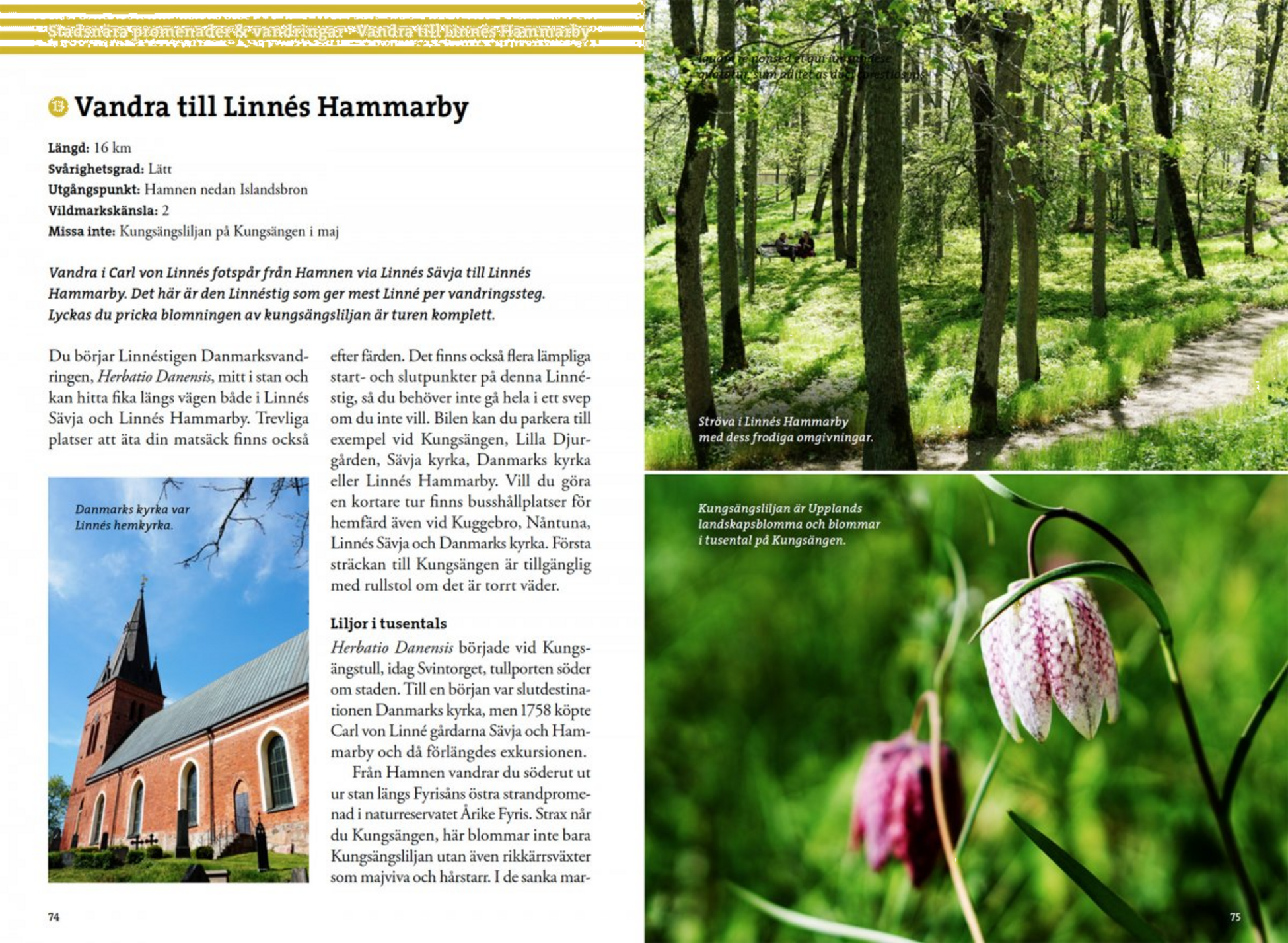 CALAZO, Vandring Kring Uppsala