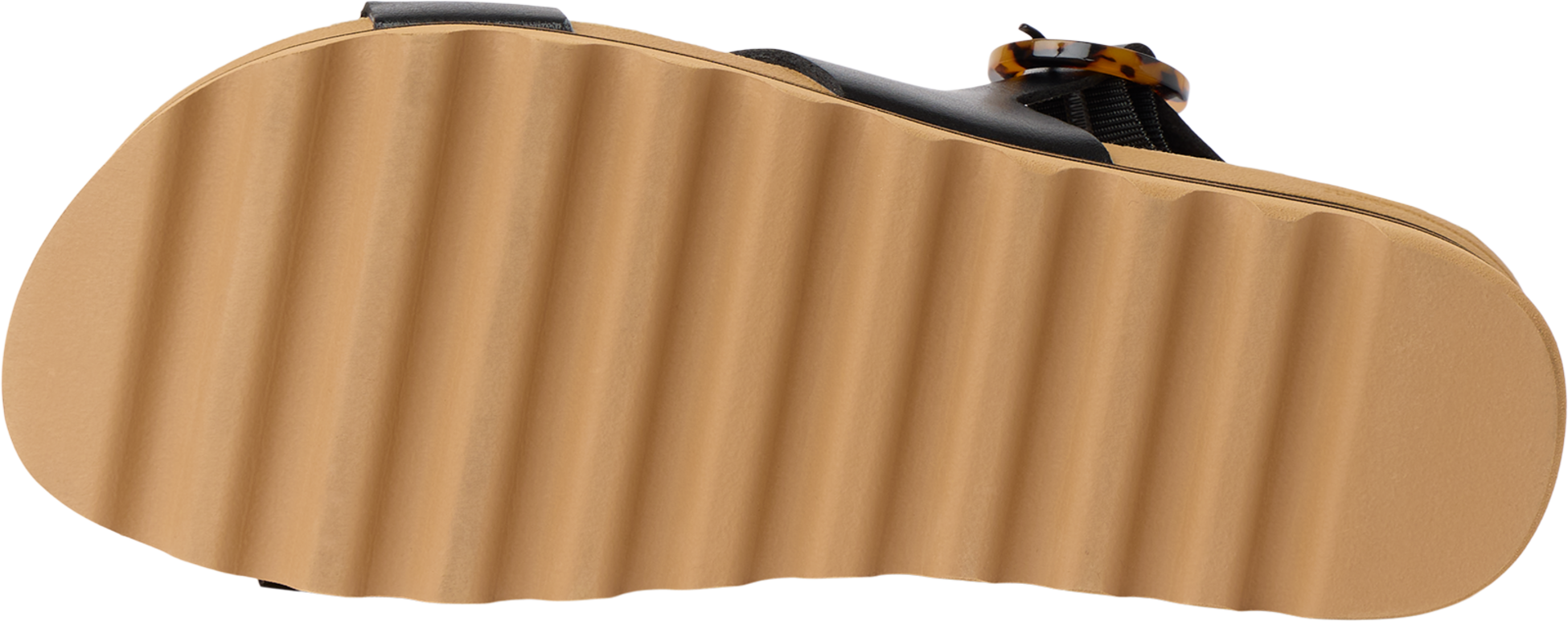 REEF, Vista Hi Buckle