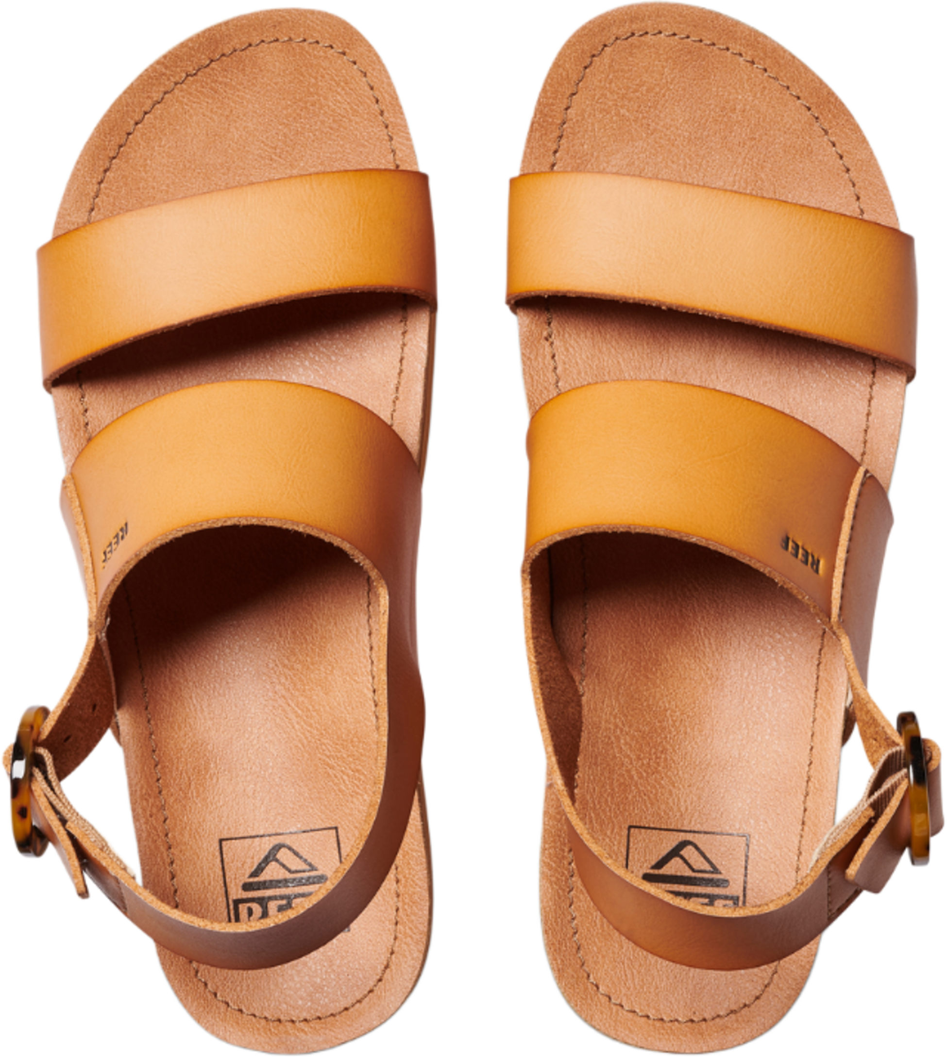 REEF, Vista Hi Buckle