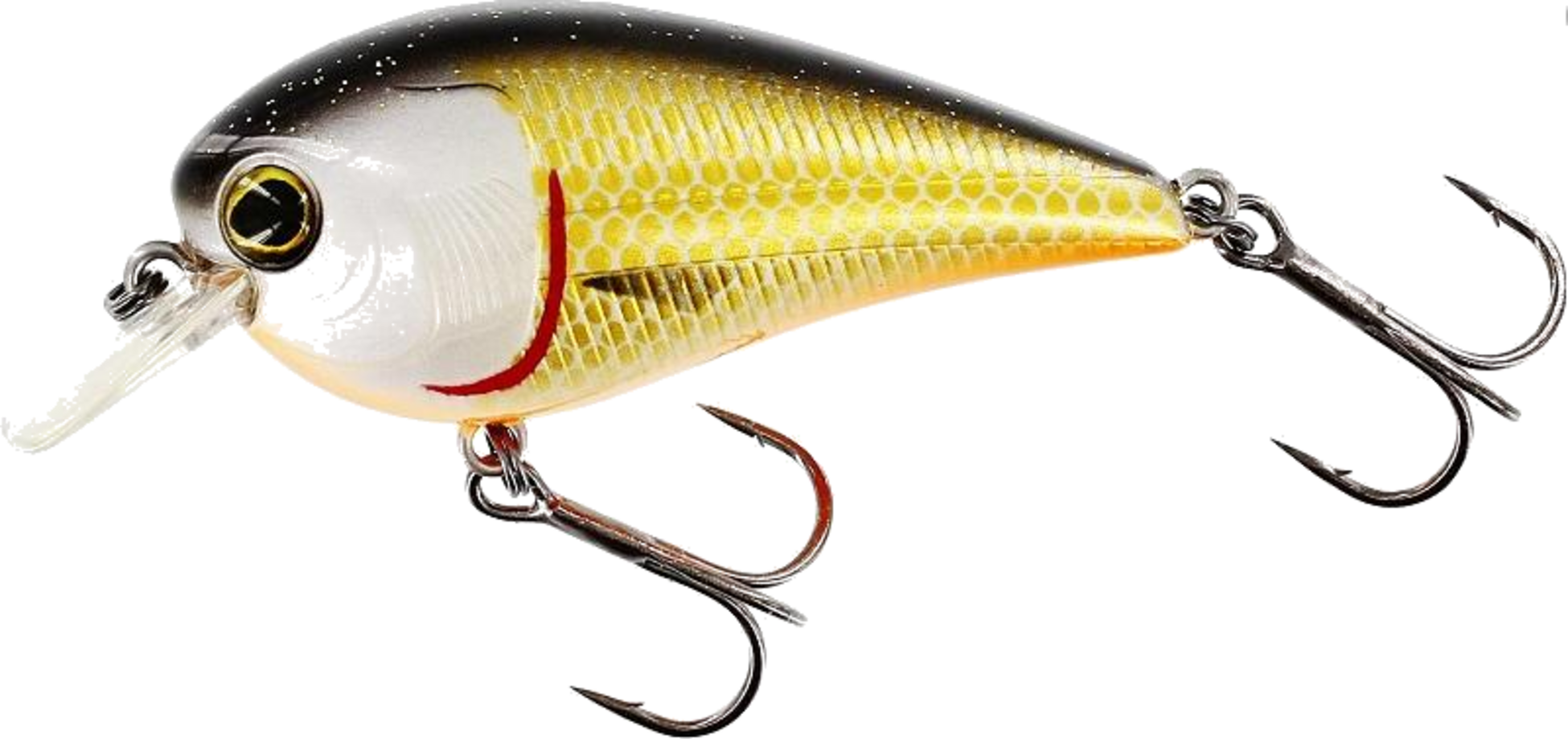 WESTIN, Westin Bassbite 2.5 Squarebill 7cm 16g Floating Official Roach