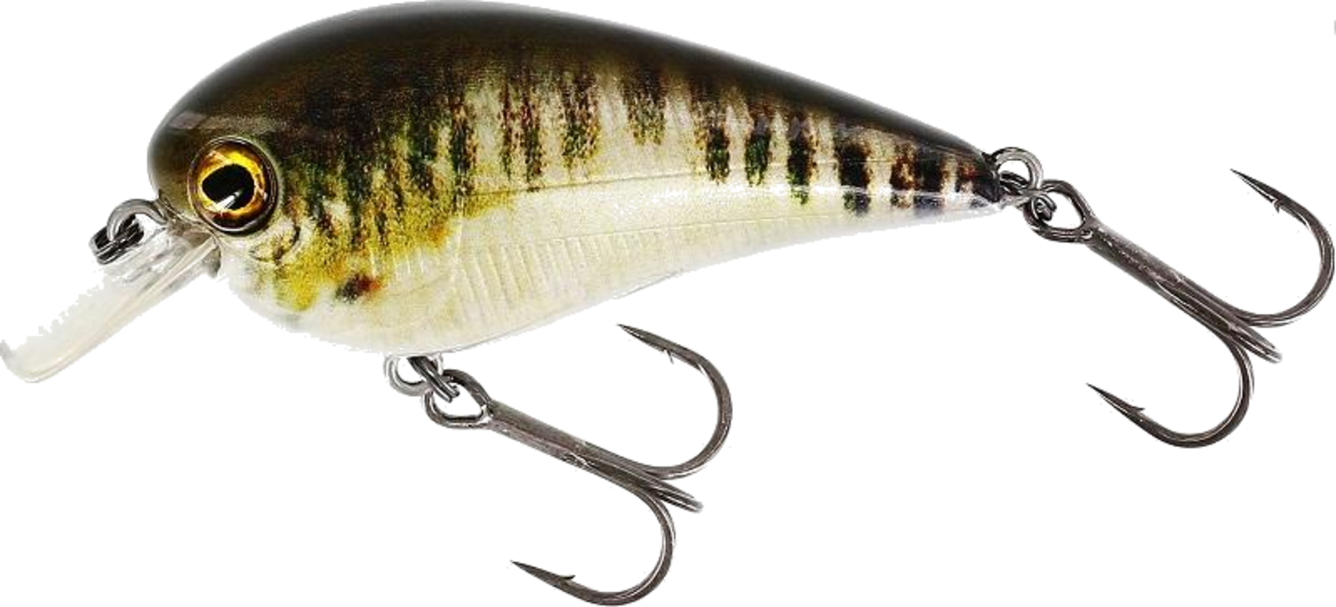 WESTIN, Westin Bassbite 2.5 Squarebill 7cm 16g Floating Real Minnow