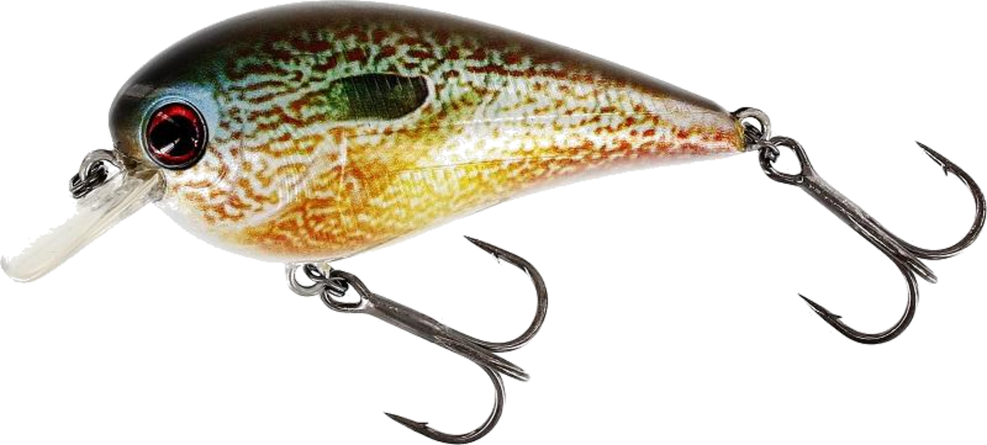 WESTIN, Westin Bassbite 2.5 Squarebill 7cm 16g Floating Real Pumpkinseed