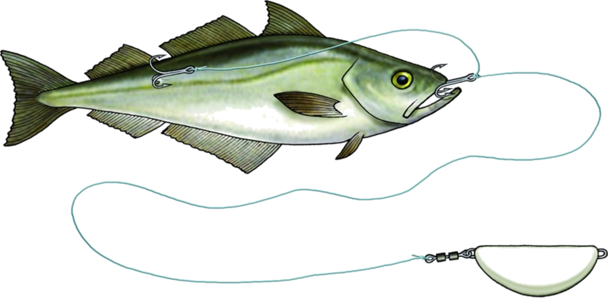 WESTIN, Westin Halibut Anti Twist Rig 450g Pink Flash