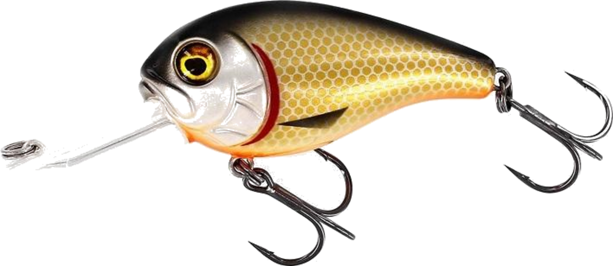 WESTIN, Westin Megabite Dr Crankbait 6cm 19g Floating Official Roach