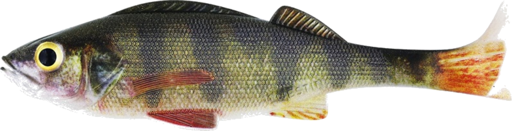 WESTIN, Westin Original Perch 18cm 61g Real Perch 1pcs