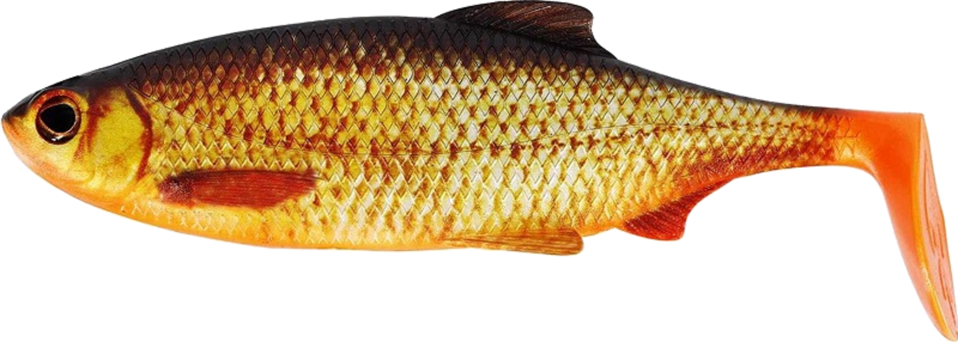 WESTIN, Westin Ricky The Roach Shadtail 18cm 85g Real Rudd 1pcs - Bulk