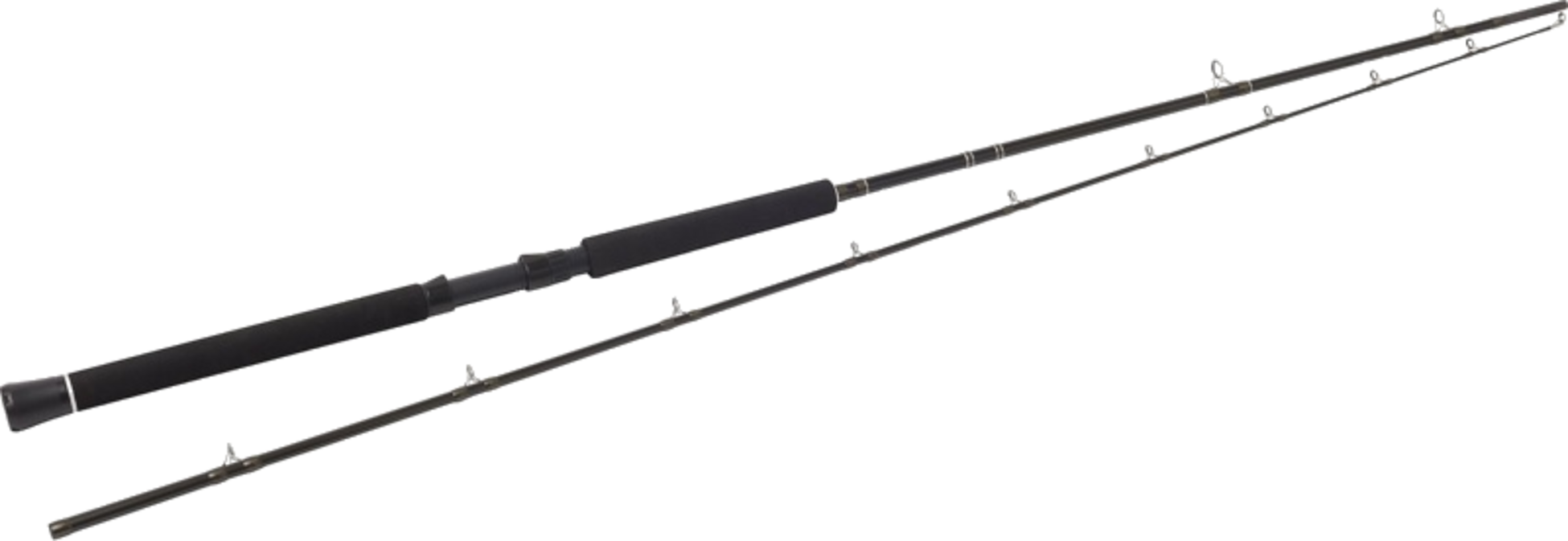 WESTIN, Westin W2 Predator Trolling 8'6"/255cm H 60-180g 2sec