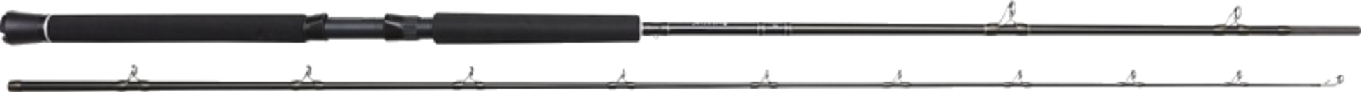 WESTIN, Westin W2 Predator Trolling 8'6"/255cm H 60-180g 2sec