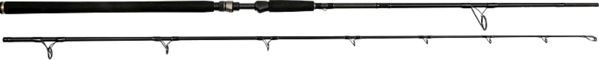 WESTIN, Westin W3 Powercast 2nd 8'3"/248cm Xxh 40-130g 2sec
