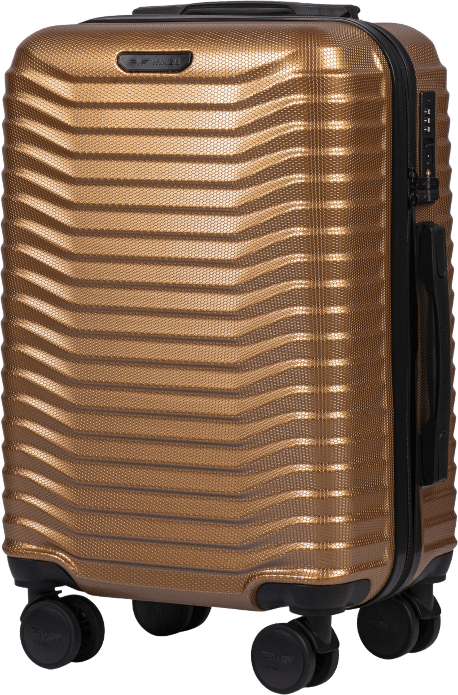 WINGS, Wings Cabin Case Pc Sea Eagle 20"