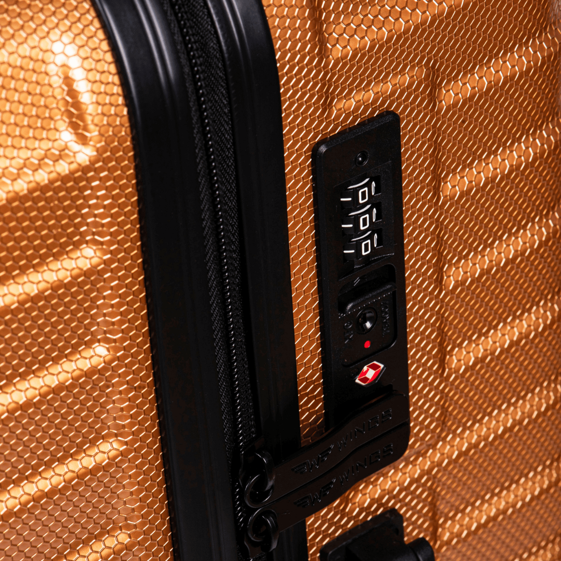 WINGS, Wings Cabin Case Pc Sea Eagle 20"