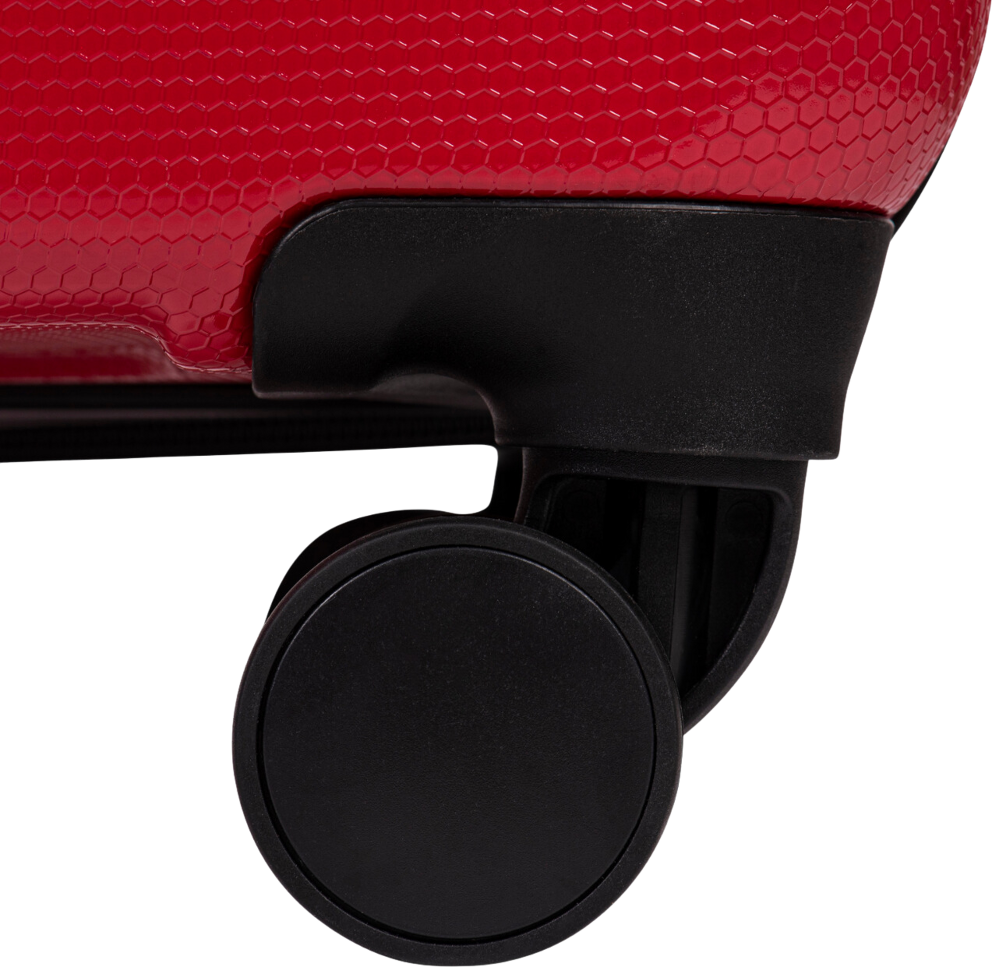 WINGS, Wings Large Case Pc Vulture 28"