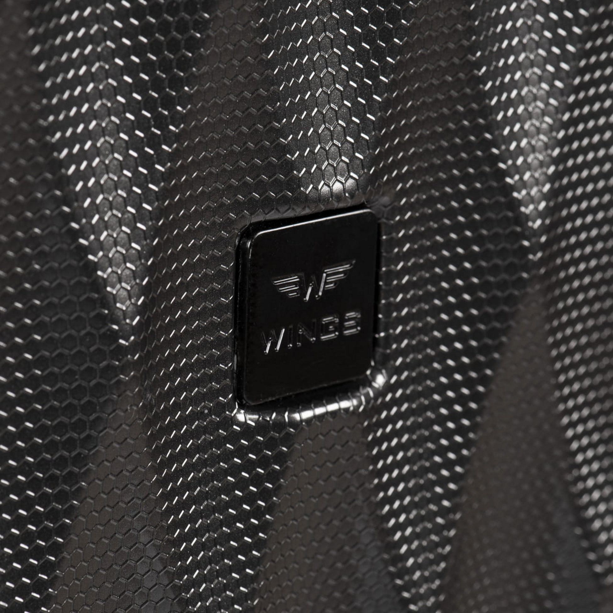 WINGS, Wings Large Pc Golden Eagle 28" Suitcase