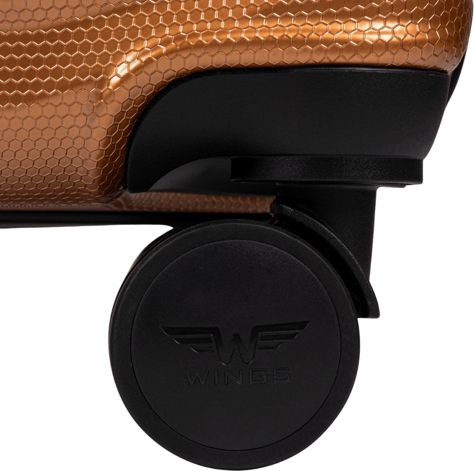 WINGS, Wings Medium Case Pc Sea Eagle 24"