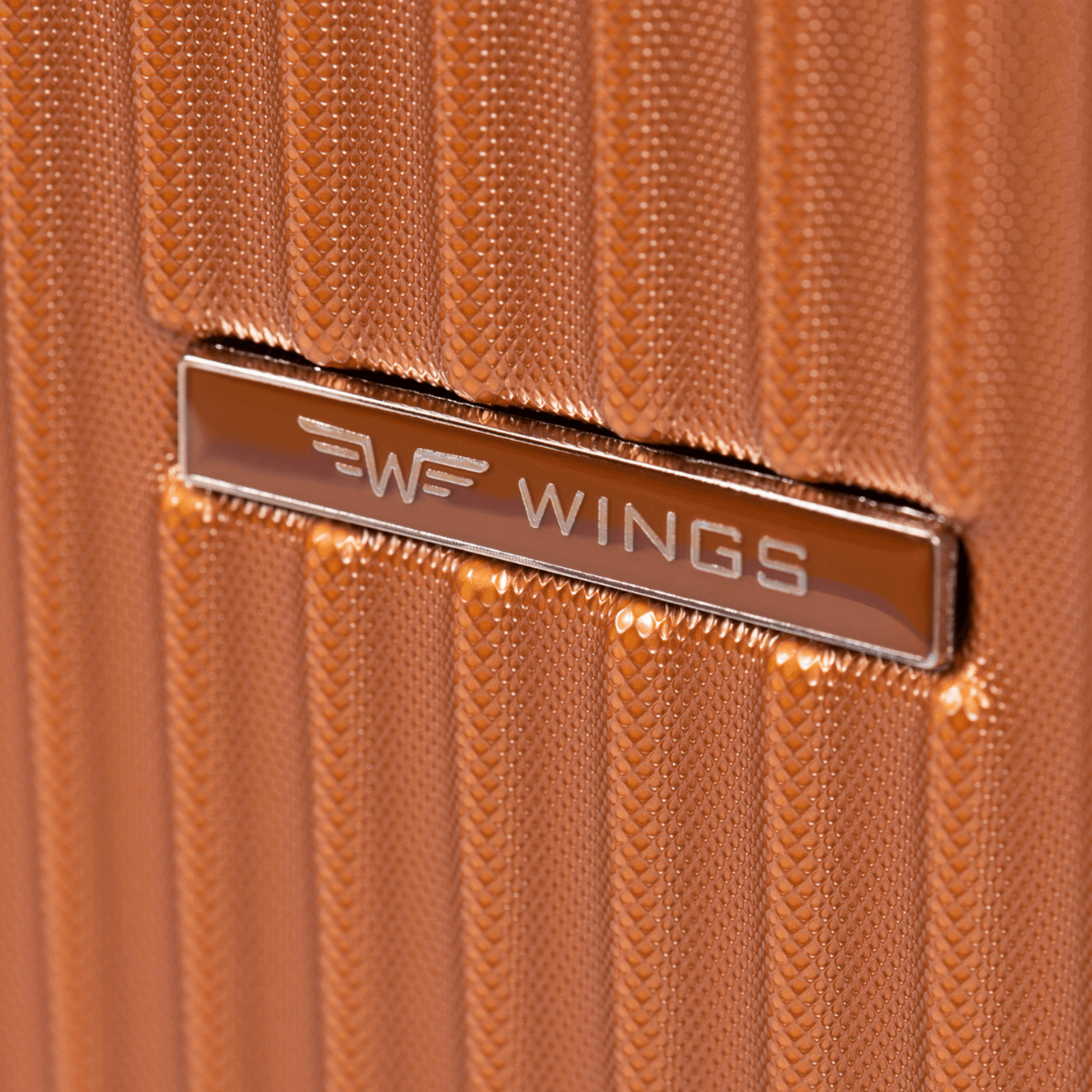 WINGS, Wings Swallow 20" Cabin Suitcase