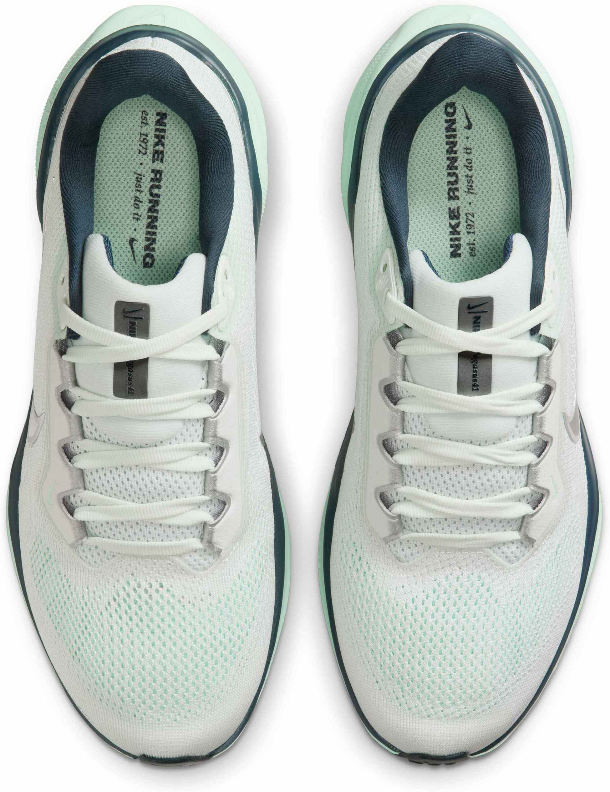 NIKE, Women's Road Running Shoes Pegasus 41