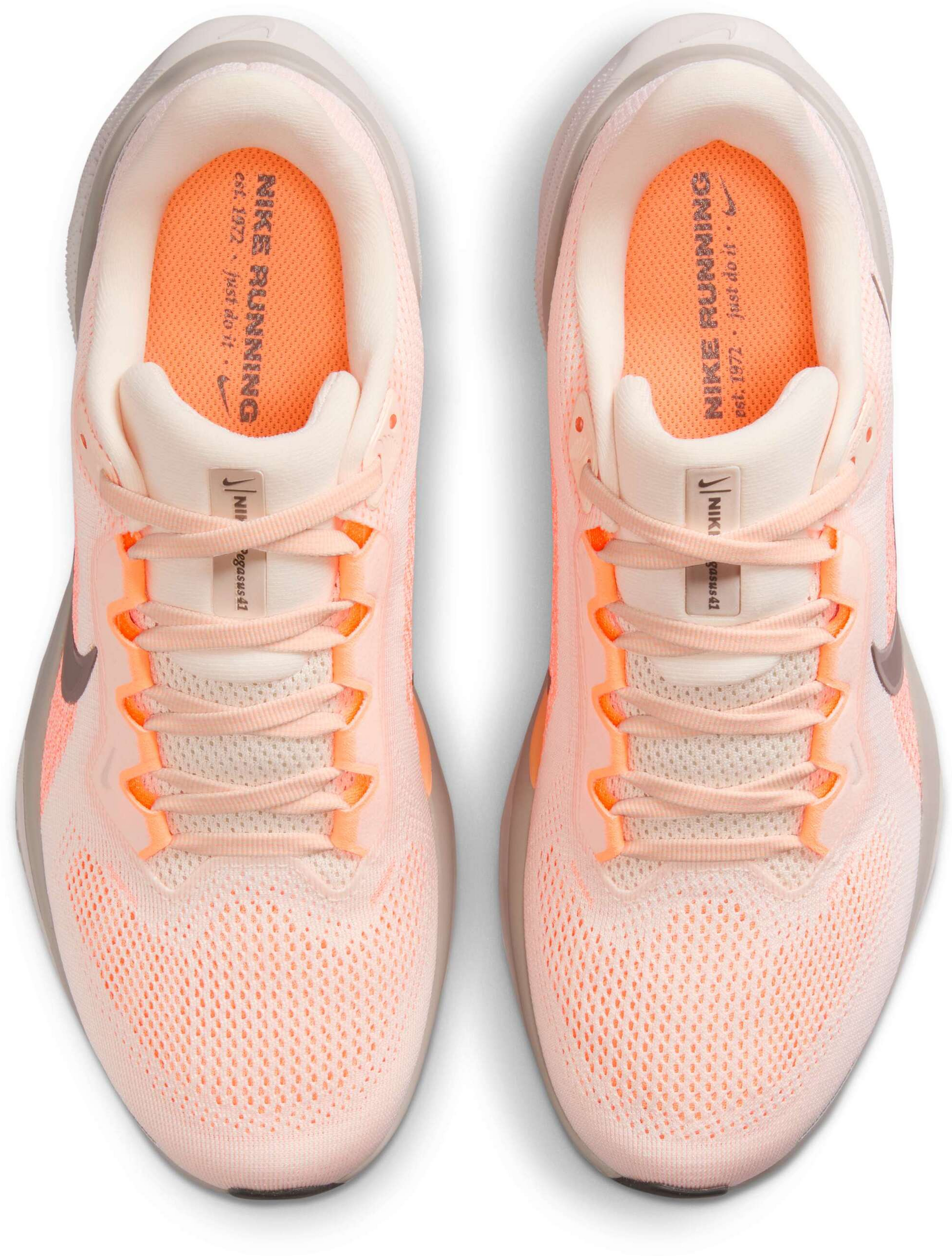 NIKE, Women's Road Running Shoes Pegasus 41