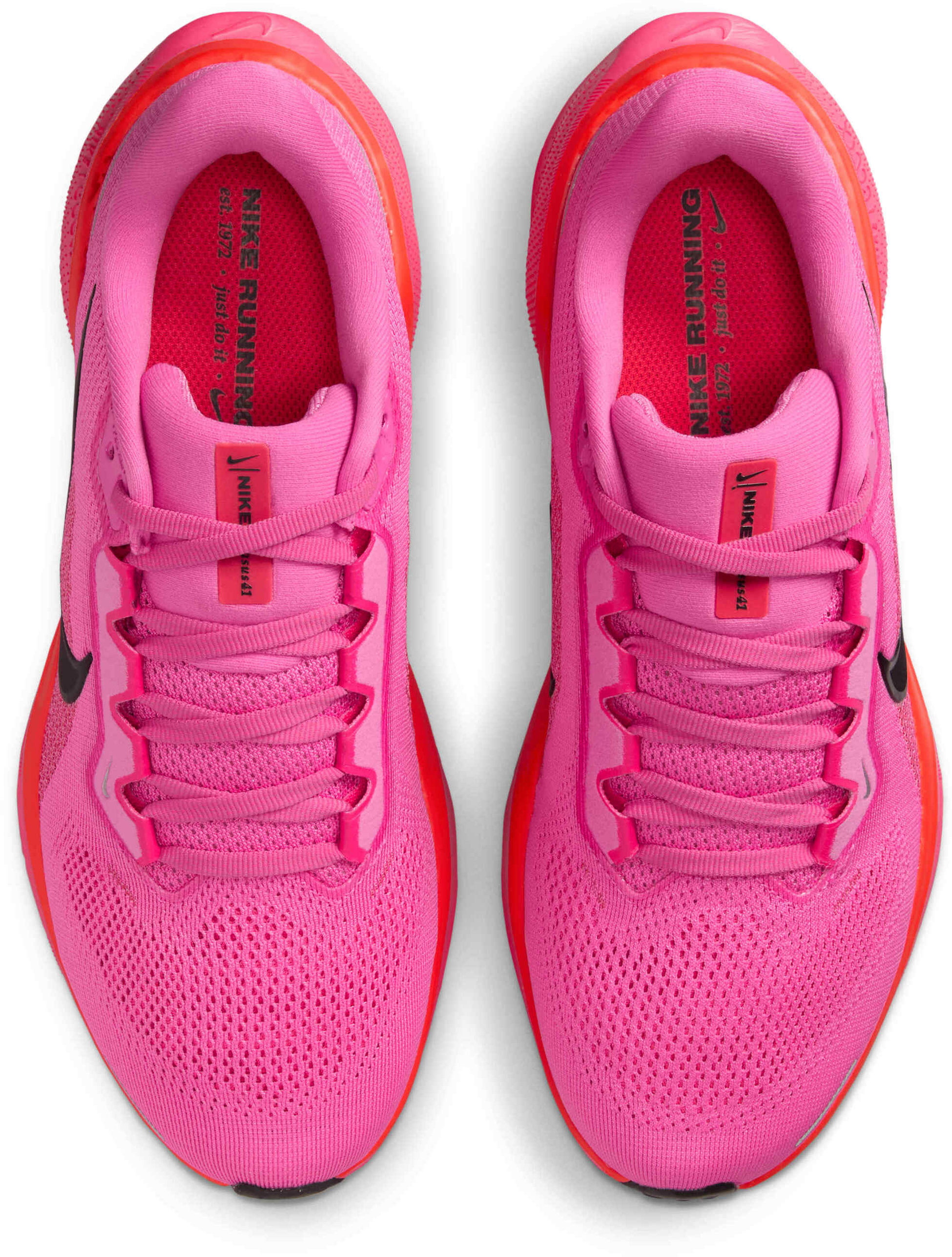 NIKE, Women's Road Running Shoes Pegasus 41