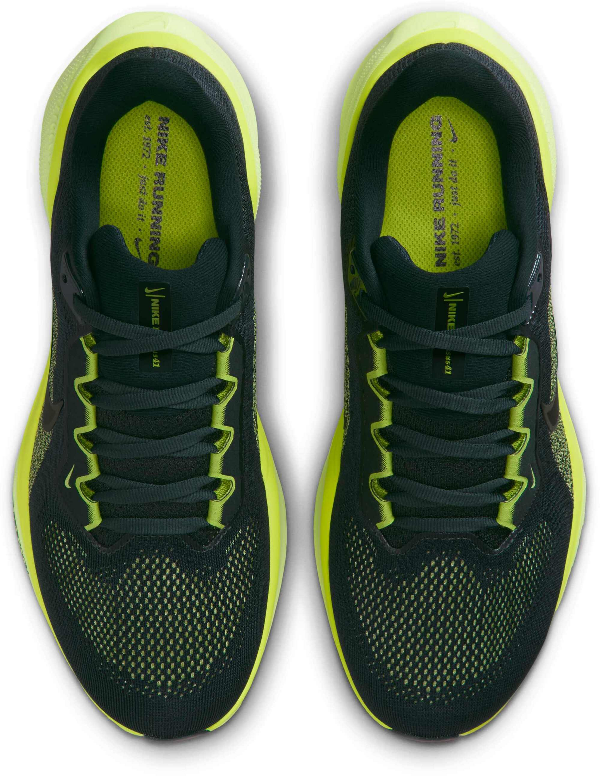 NIKE, Women's Road Running Shoes Pegasus 41